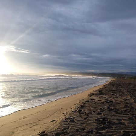 Casa Palma Beach House Brisas de Zicatela 外观 照片
