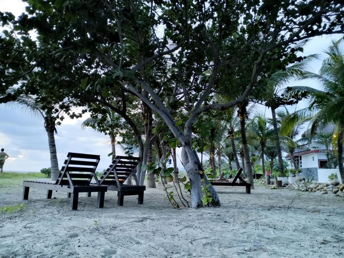 Casa Palma Beach House Brisas de Zicatela 外观 照片