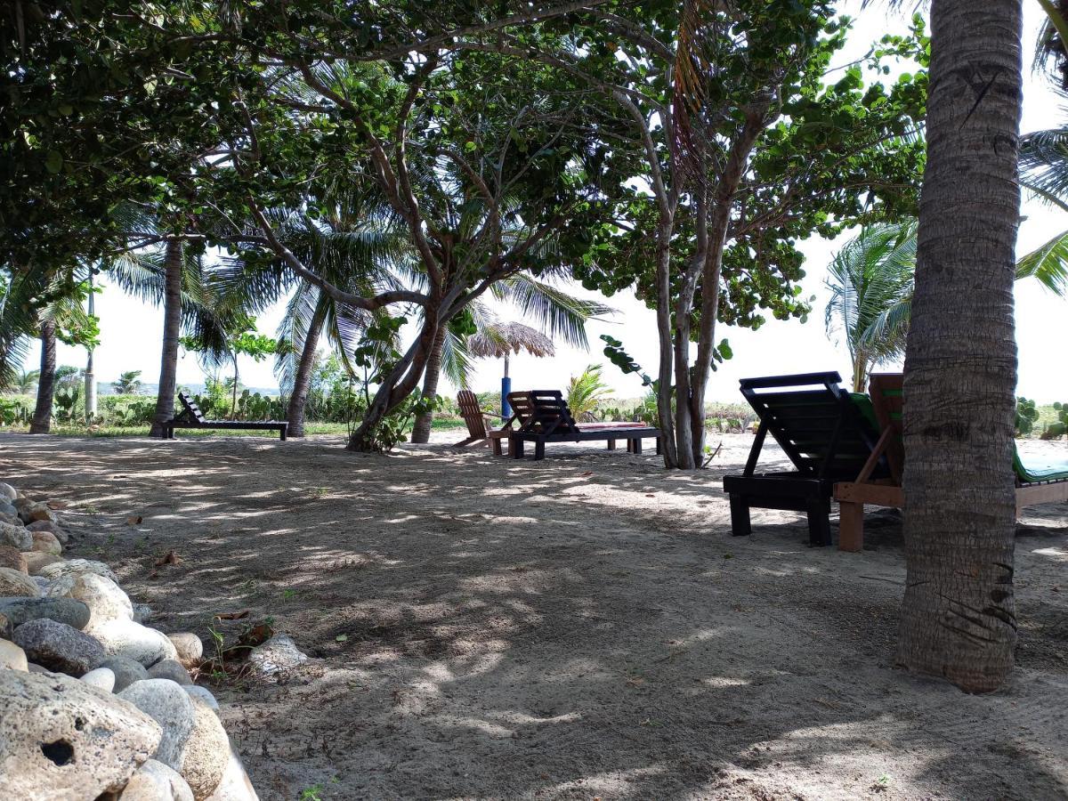 Casa Palma Beach House Brisas de Zicatela 外观 照片