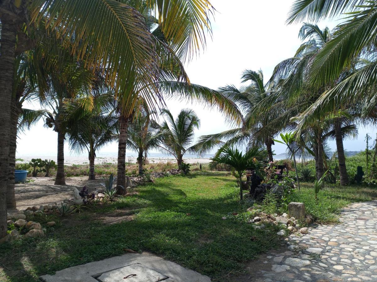 Casa Palma Beach House Brisas de Zicatela 外观 照片